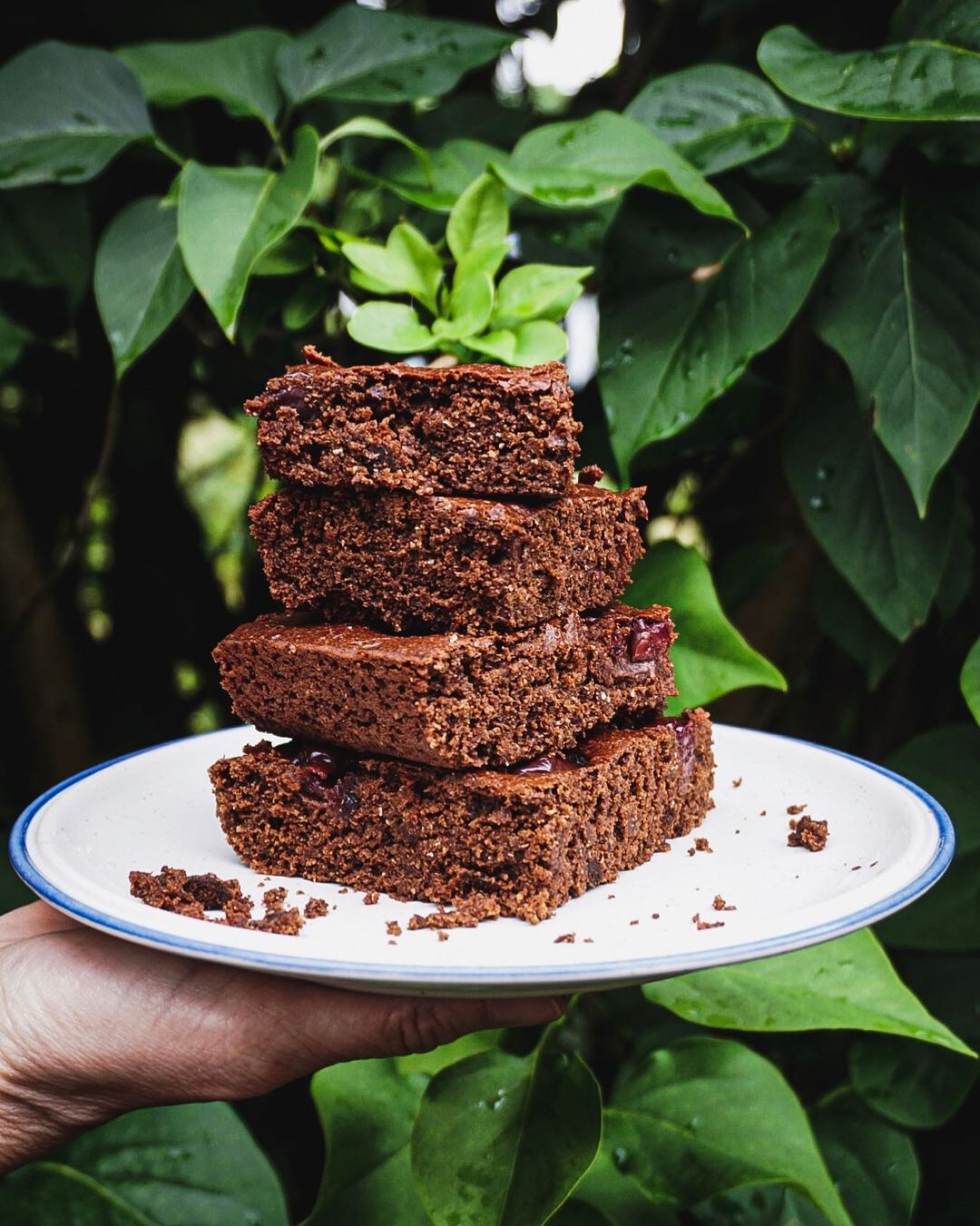 Chocolate Brownies with Chickpea Flour and Cherries