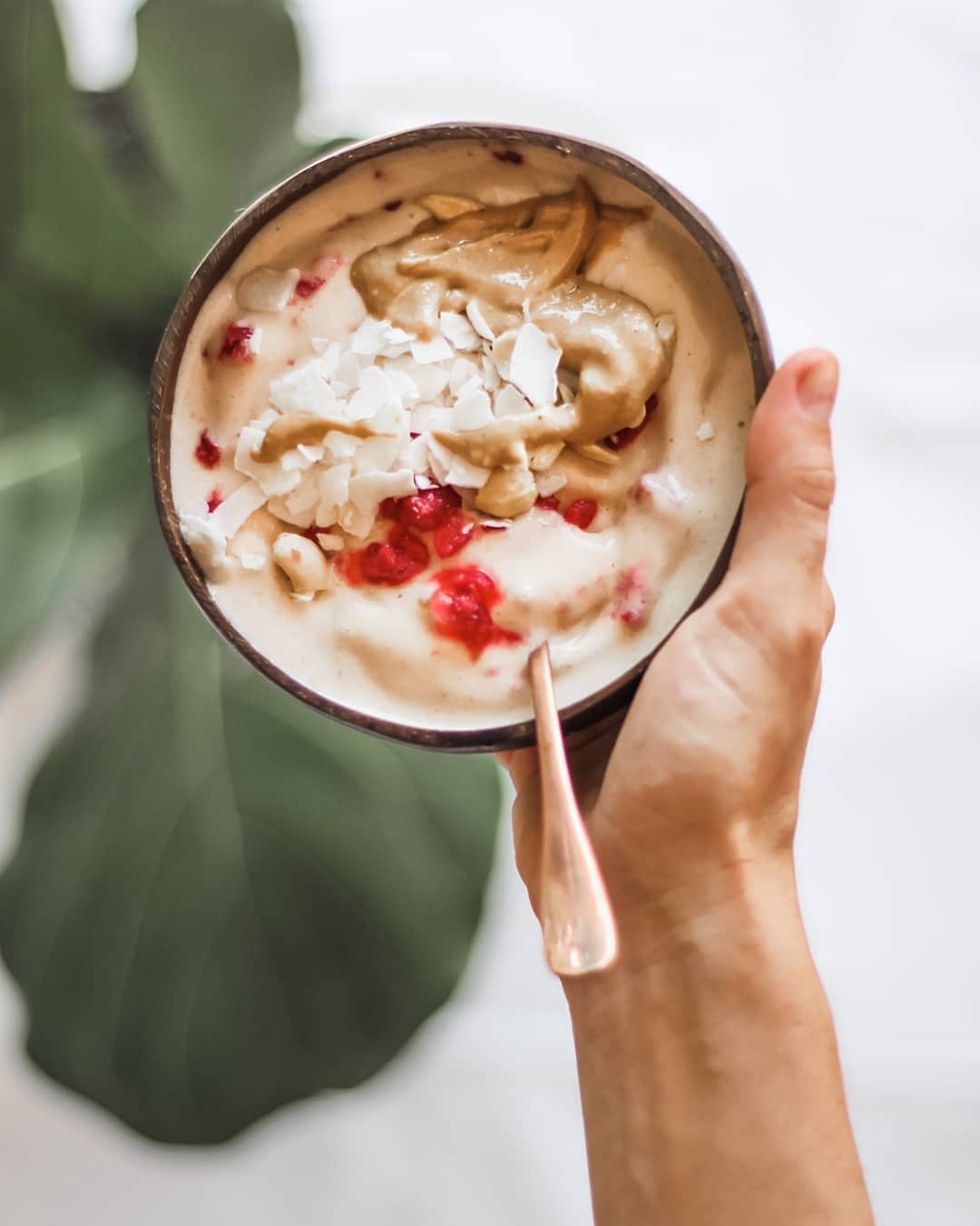 Delicious Vegan Nice Cream Summer Treat