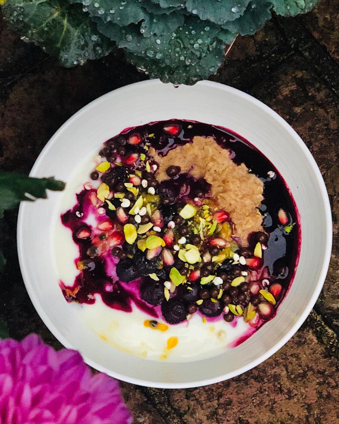 Oatmeal and Yogurt Breakfast Bowl with Fruits
