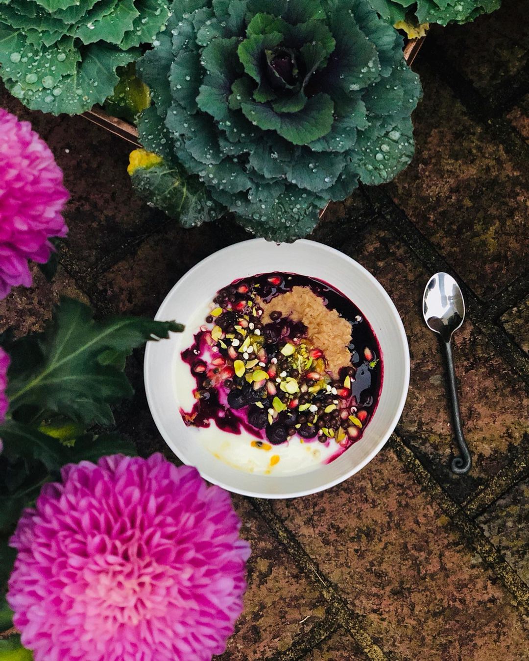Oatmeal and Yogurt Breakfast Bowl with Fruits