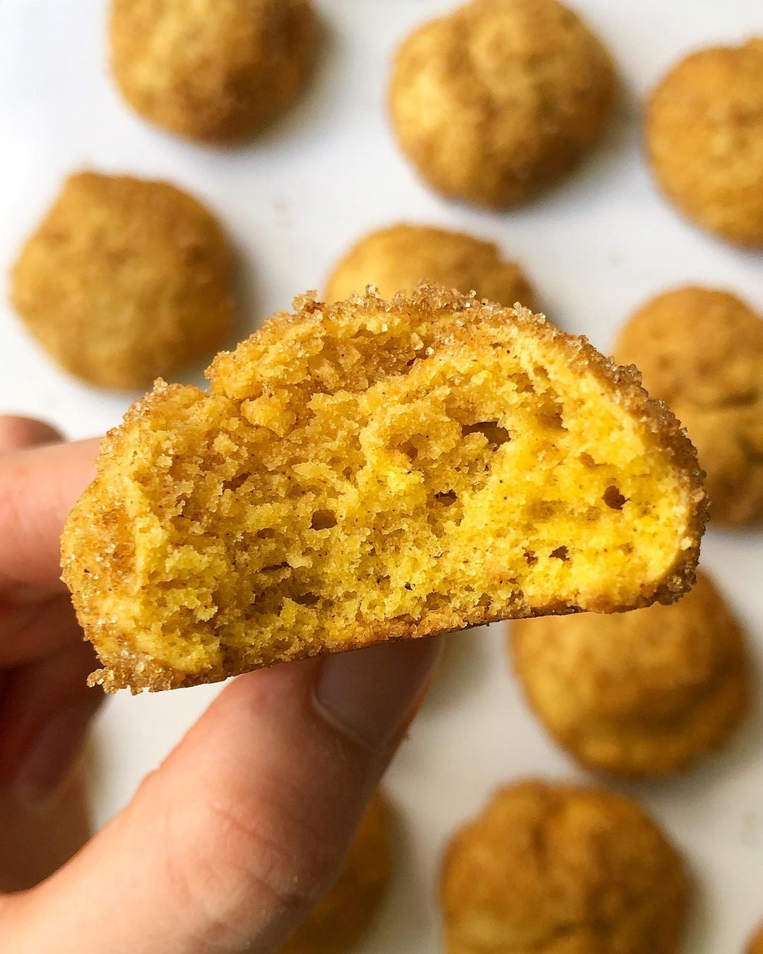 Pumpkin Snickerdoodles with Cinnamon Sugar Flavor