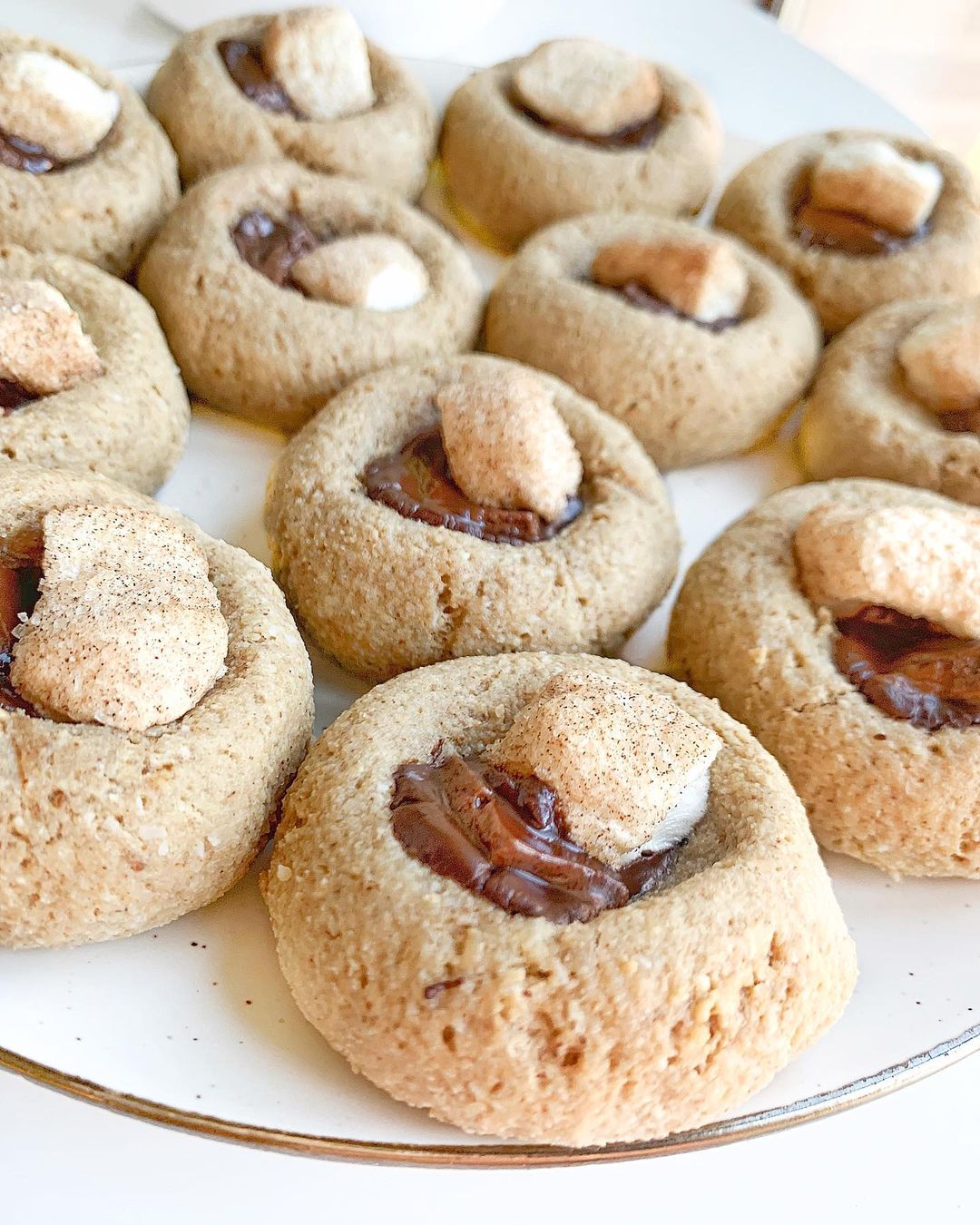 Soft and Chewy S'mores Cookies Delight