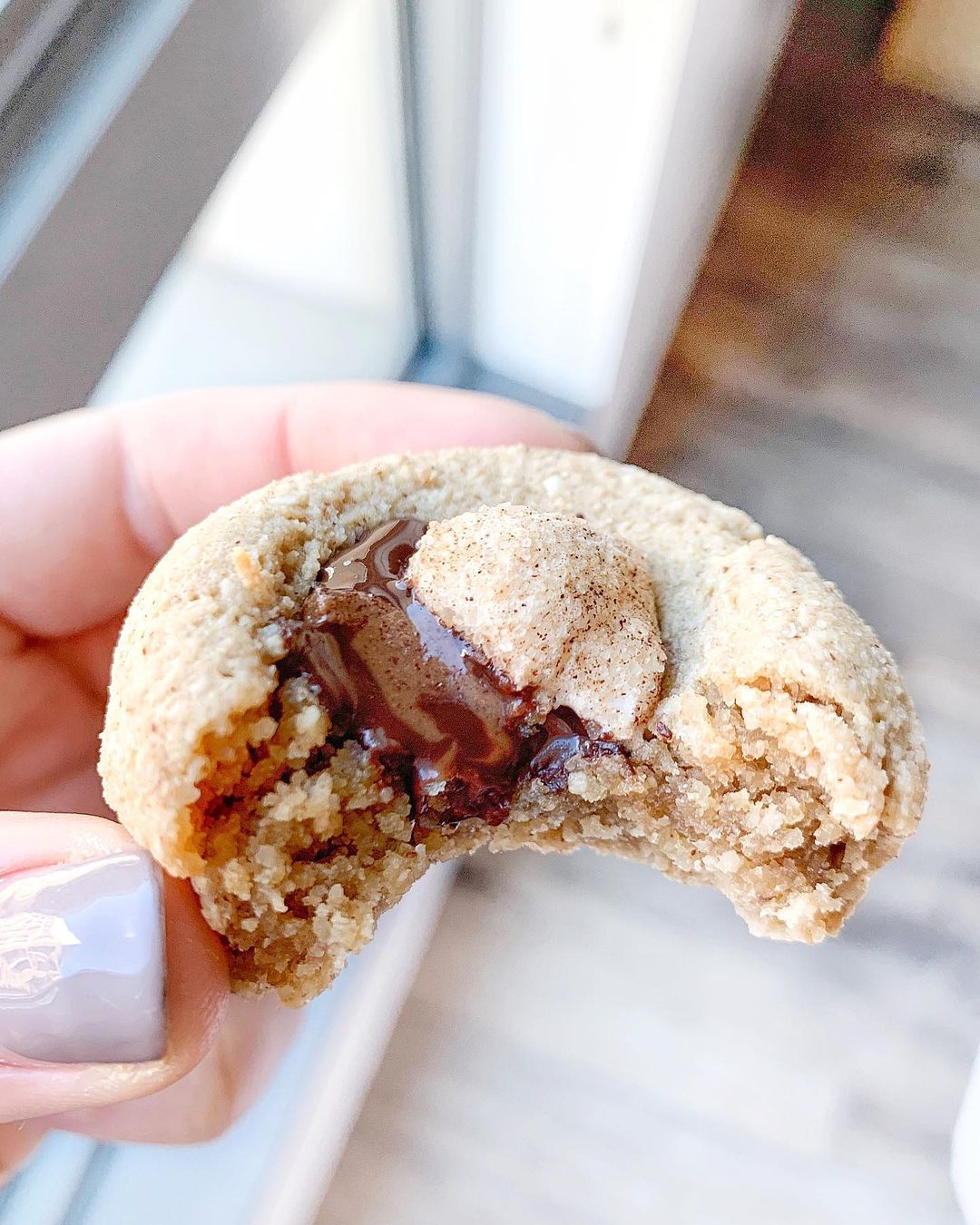 Soft and Chewy S'mores Cookies Delight