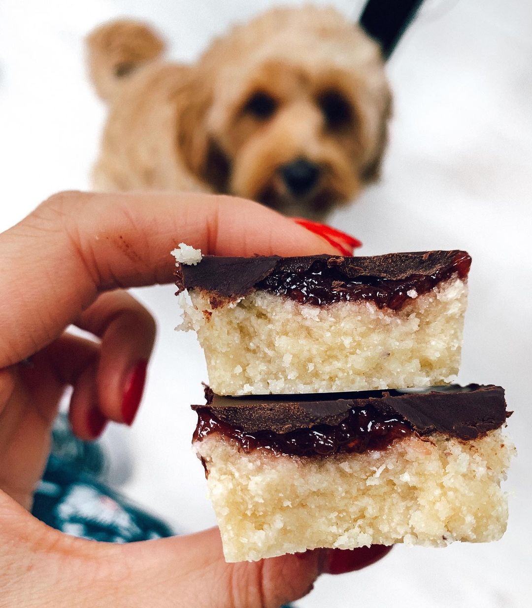 Easy No Bake Vegan Coconut Bars
