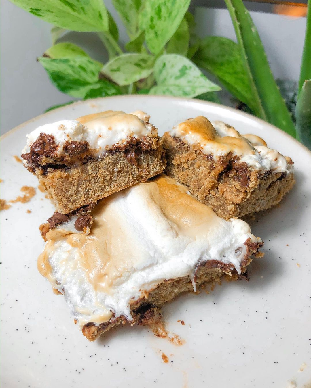Vegan Gooey S’mores Bars