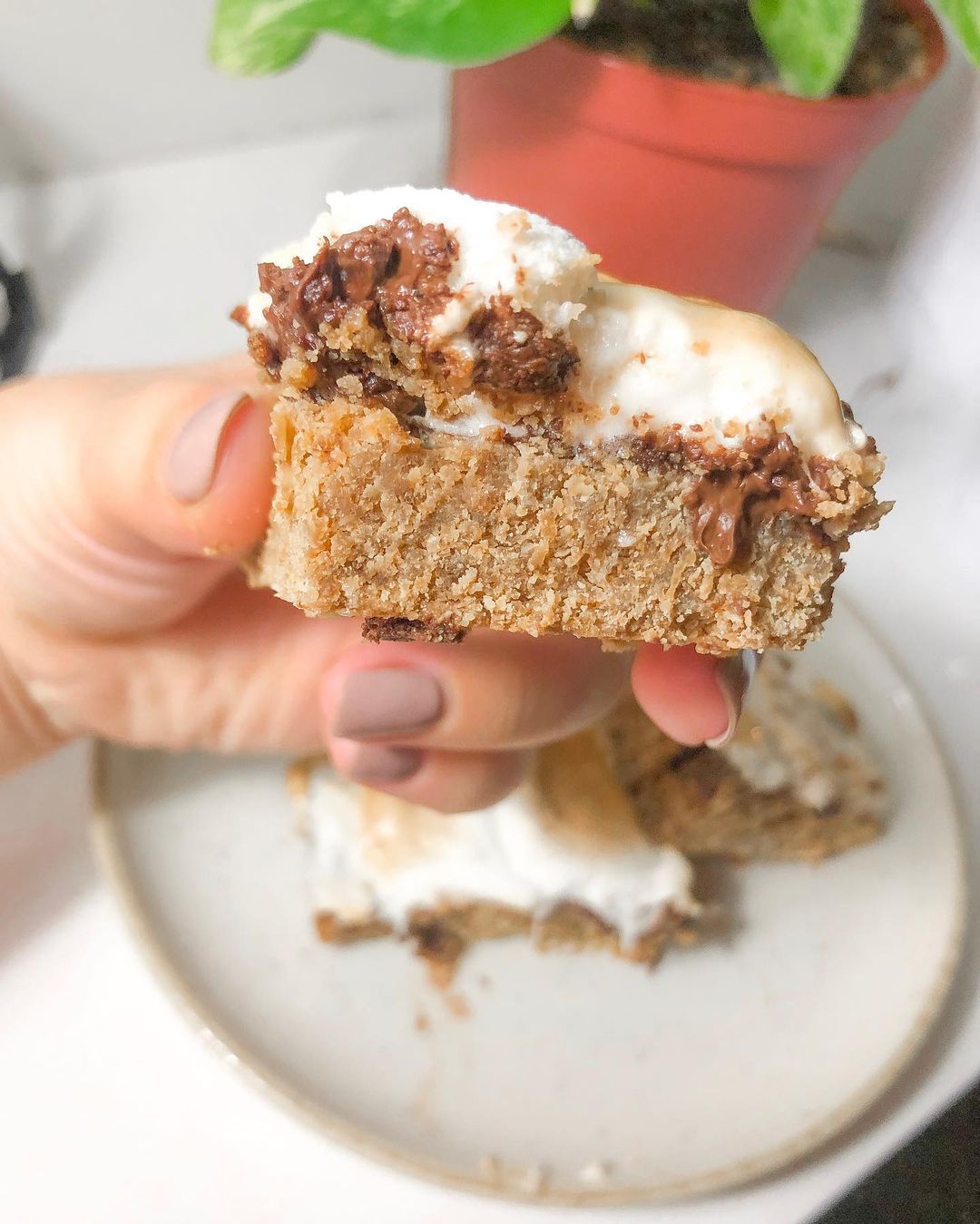 Vegan Gooey S’mores Bars