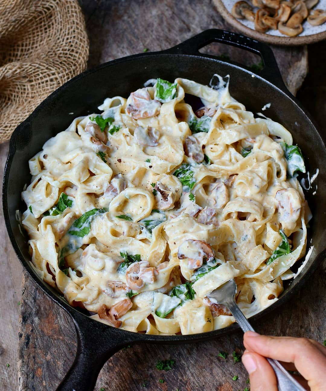 Vegan Alfredo Sauce with Mushrooms and Noodles