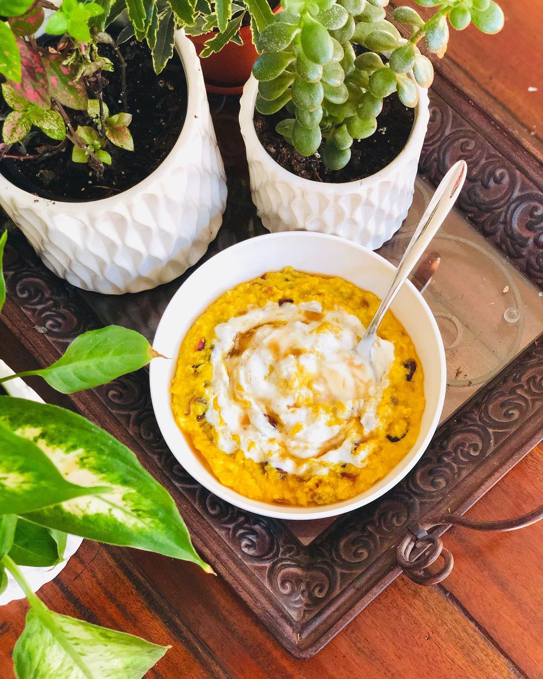 Best Tasting Oatmeal with Turmeric and Cranberries