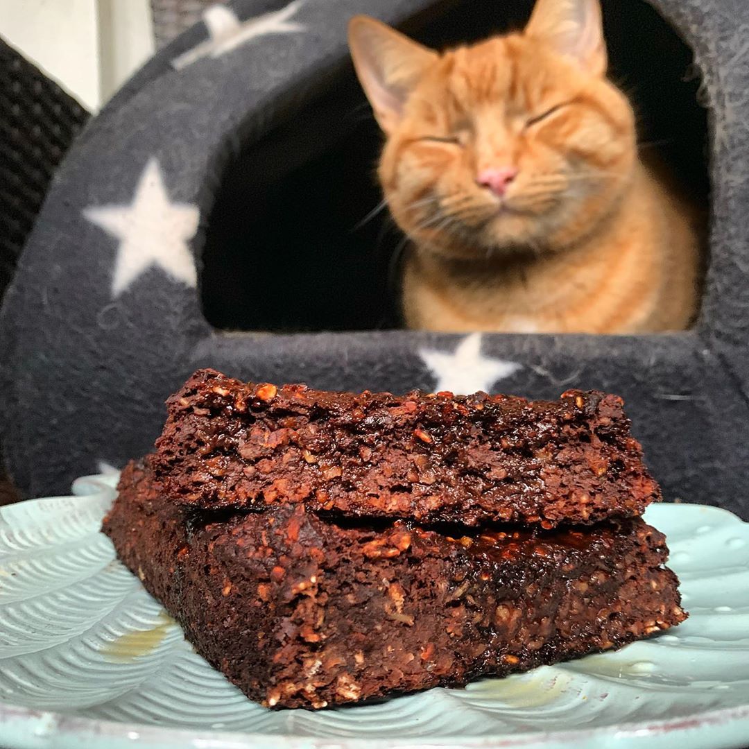 Vegan Chocolate Baked Oats