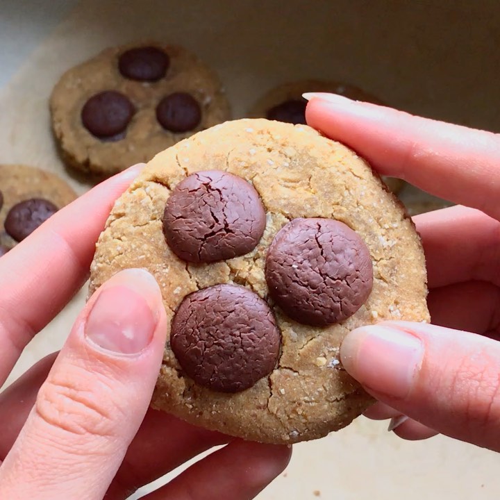 Peanut Butter Chocolate Chip Cookies