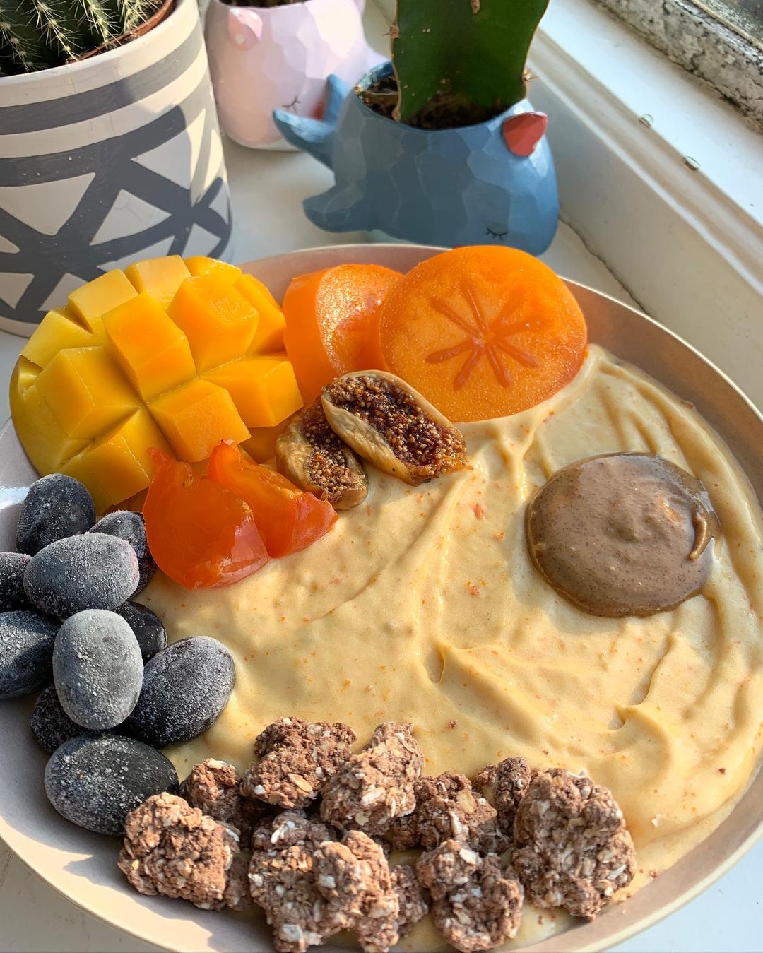 The Best Persimmon Nice Cream