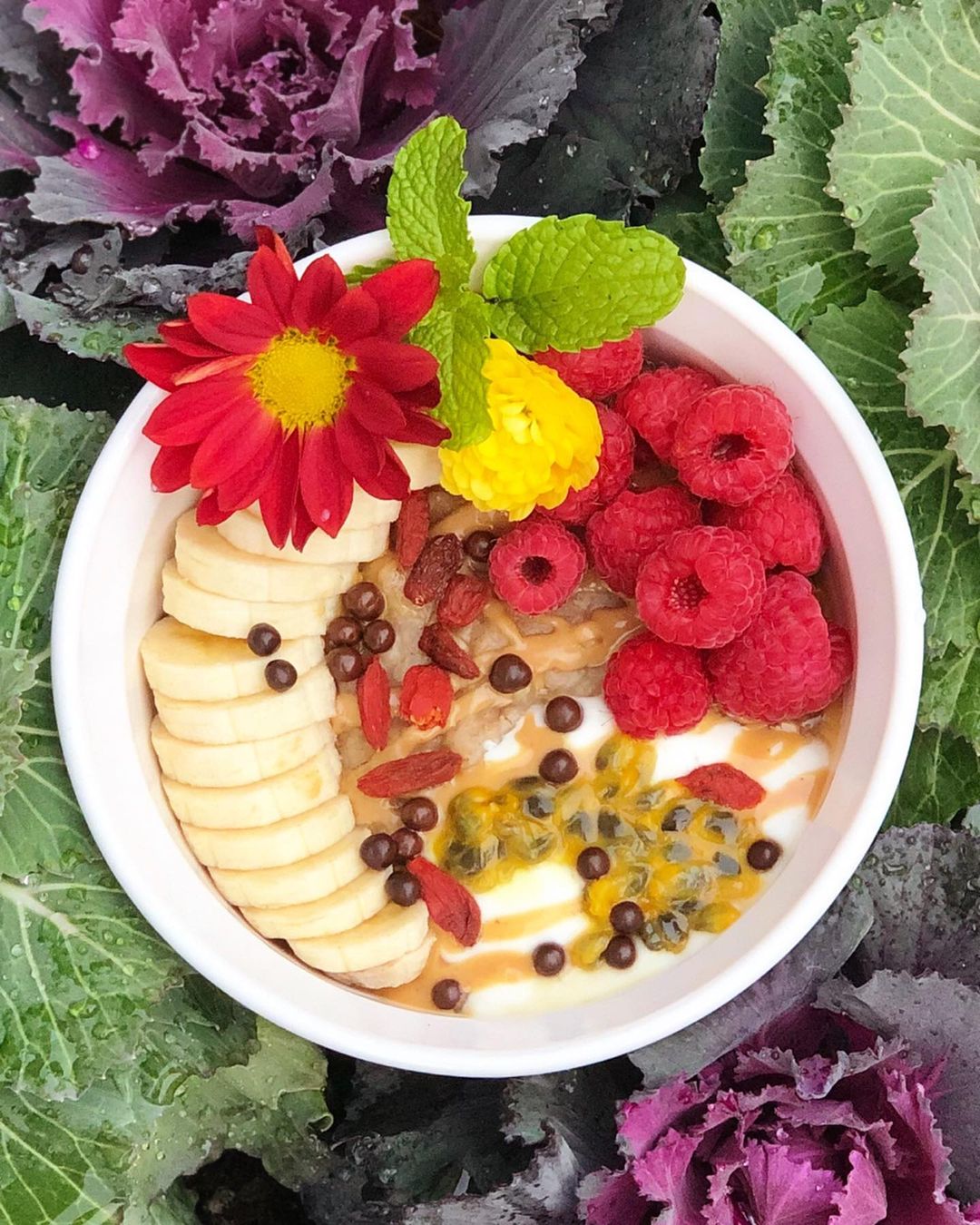 Oatmeal Bowl with Almond Extract and Fruit Toppings