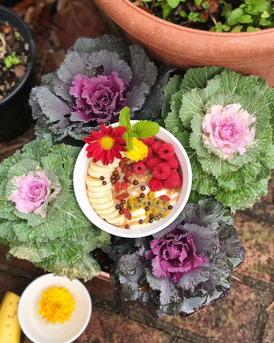 Oatmeal Bowl with Almond Extract and Fruit Toppings