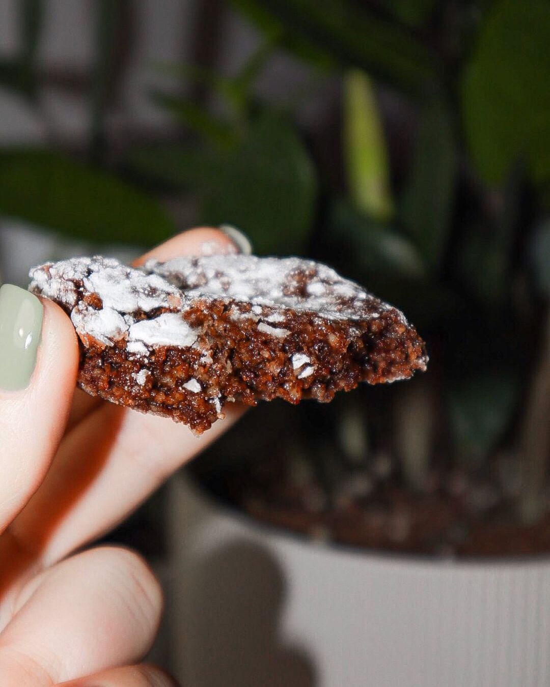 Vegan Chocolate Amaretti