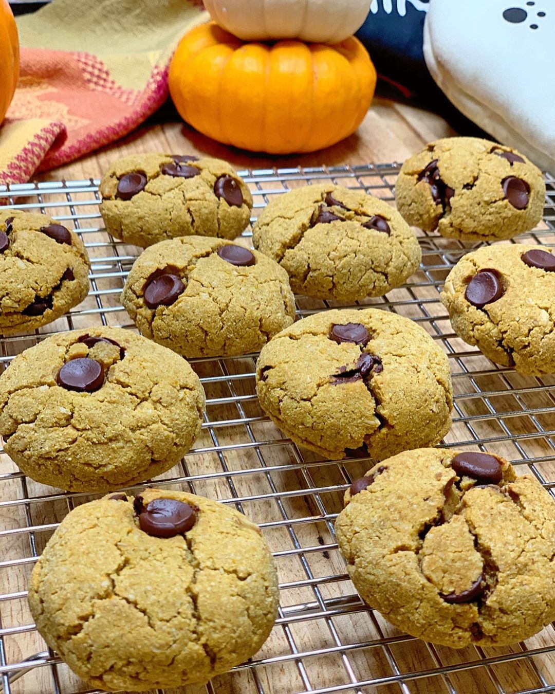 Vegan Pumpkin Chocolate Chip Cookies