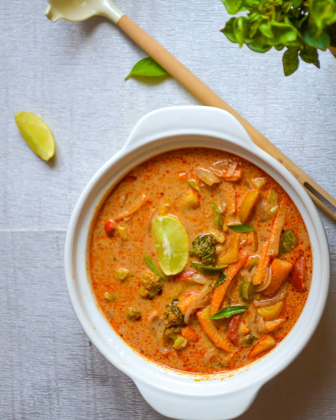 Vegan Red Thai Curry with Coconut Milk