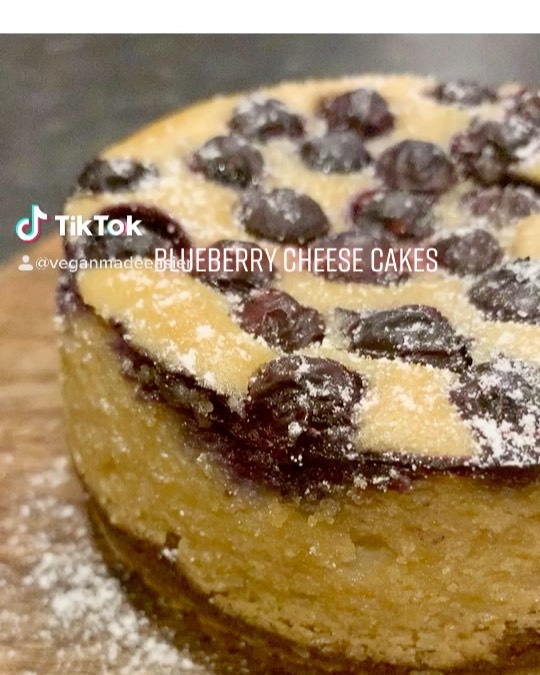 Vegan Blueberry Cheesecake with Biscoff Base