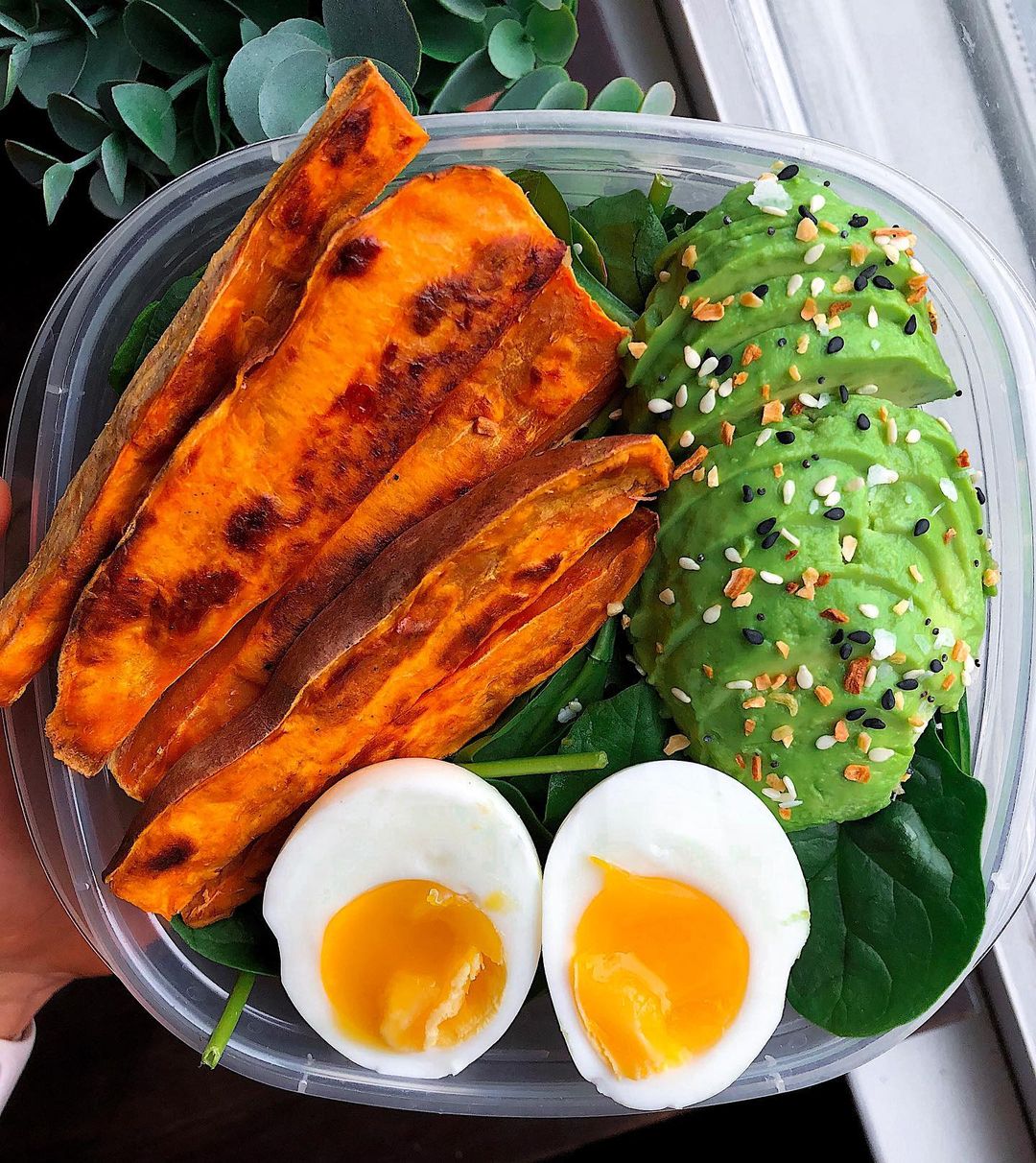 Meal Prepped Breakfast with Egg Avocado and Sweet Potato