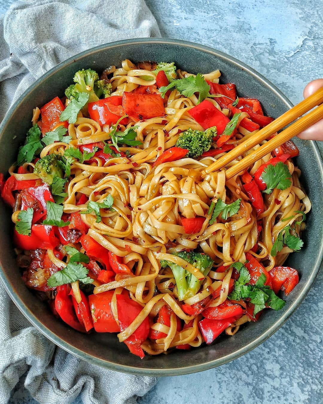 Udon Noodles with Broccoli and Bell Peppers