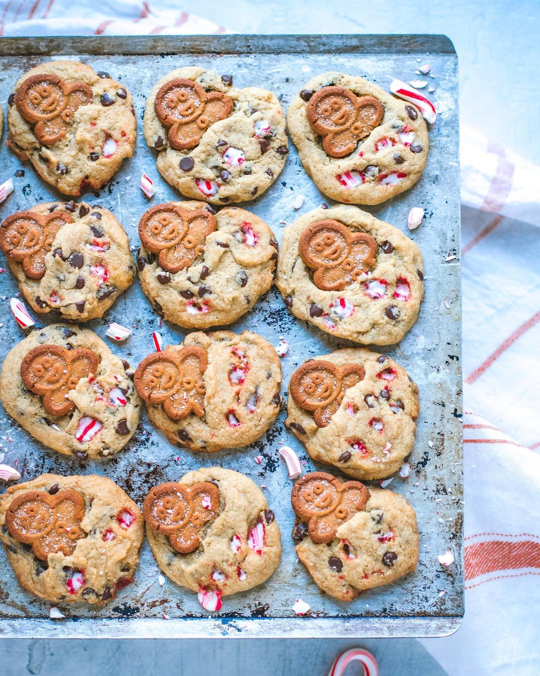 Chocolate Chip Gingerbread Cookies GF VG Nut Free