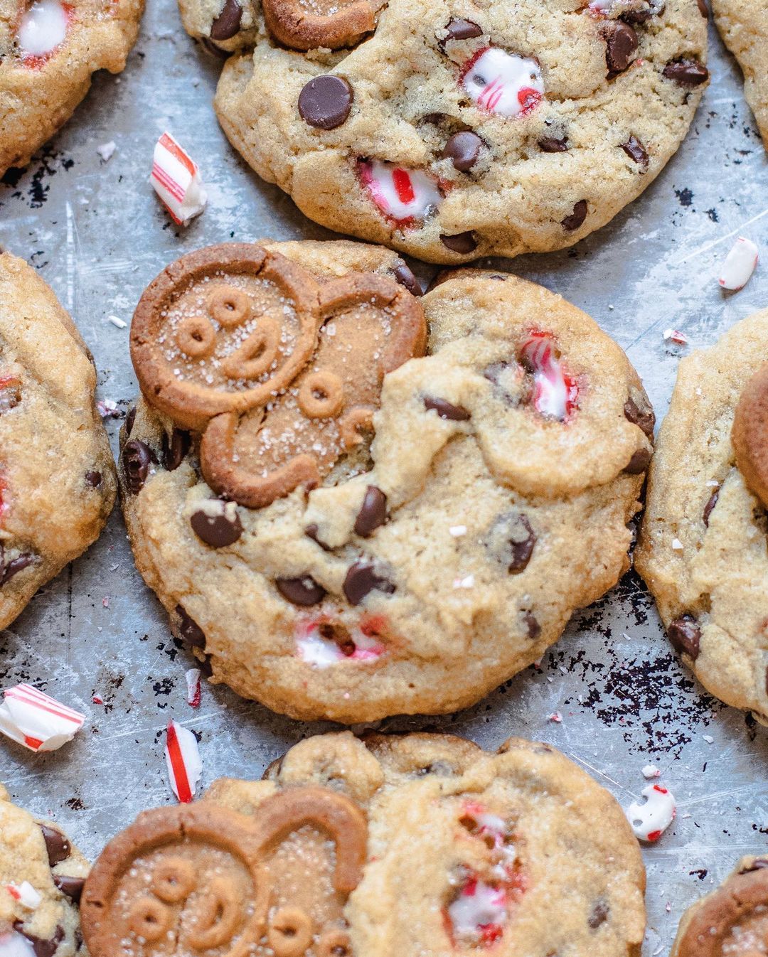 Chocolate Chip Gingerbread Cookies GF VG Nut Free