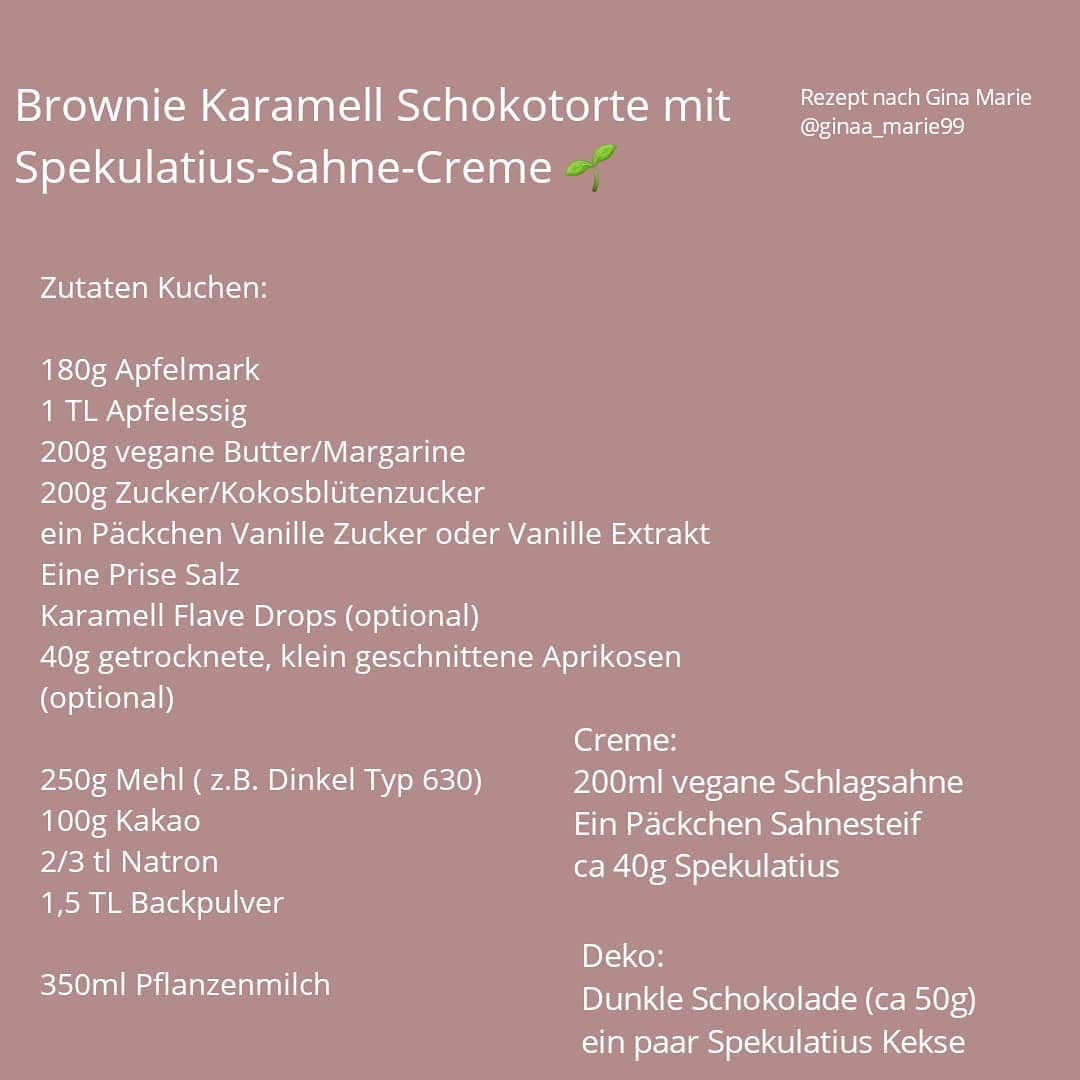 Fudgy Brownie Caramel Cake with Speculoos Cream