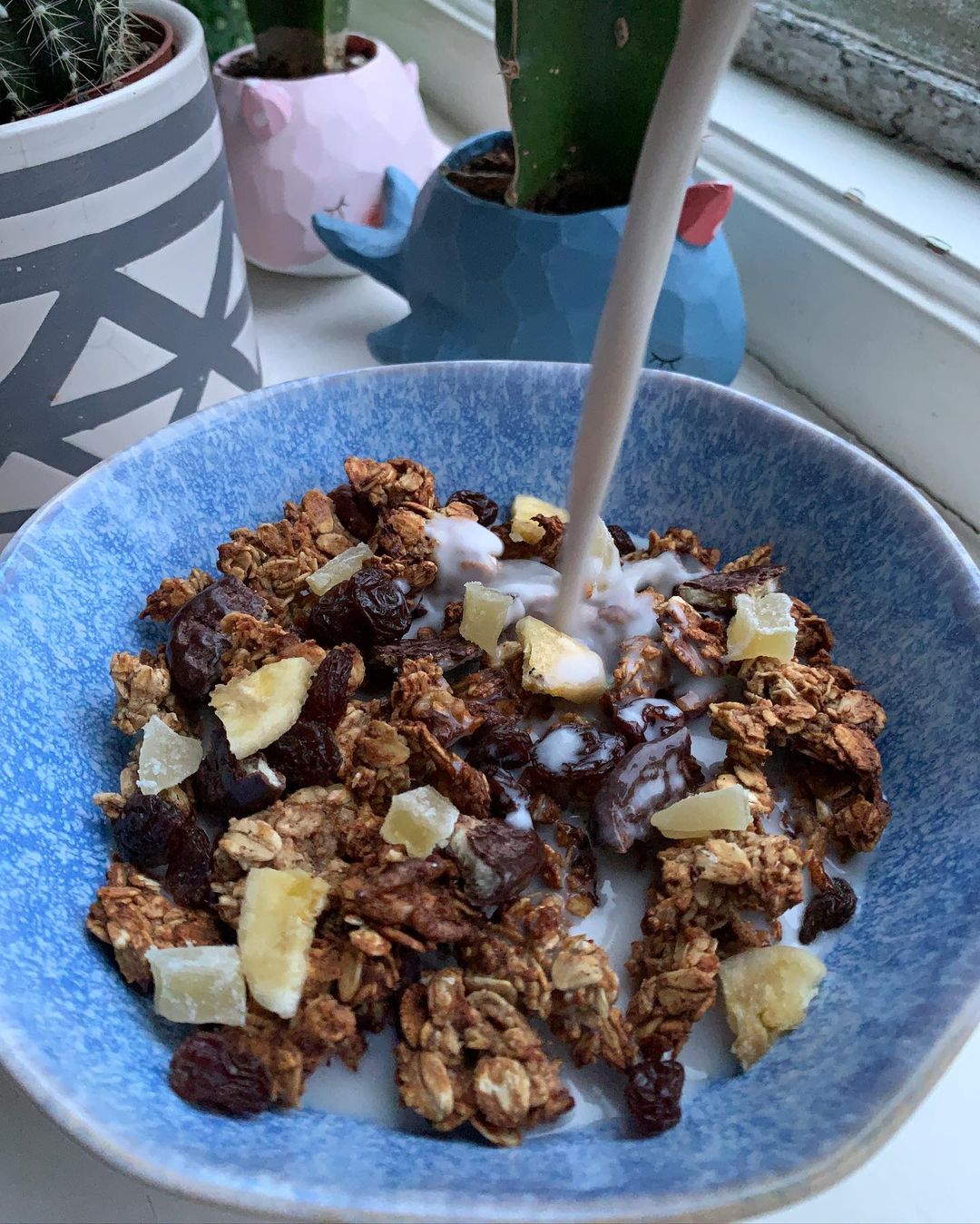 Single Serve Banana Bread Granola