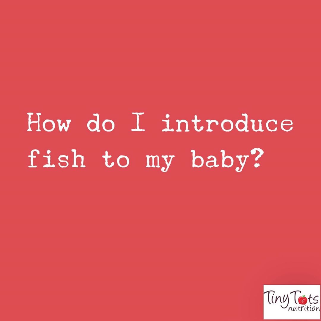 Homemade Salmon Fishcakes for Babies