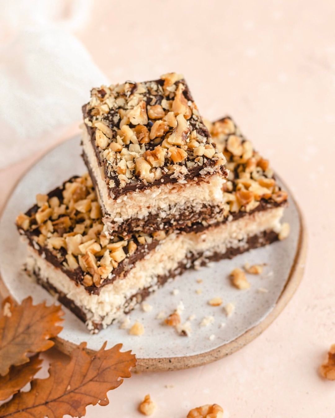 No-Bake Chocolate Walnut Coconut Bars