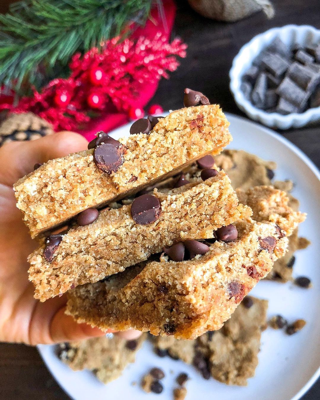 Easy Paleo Chocolate Chip Blondies