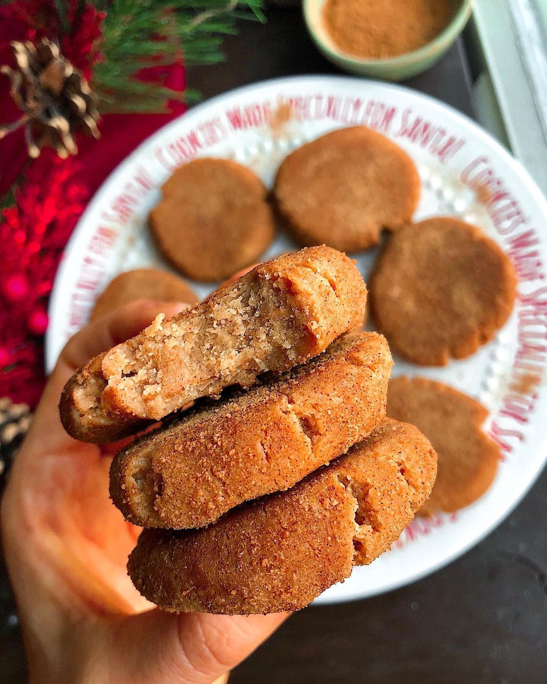 No Bake Snickerdoodle Cookies Paleo Style