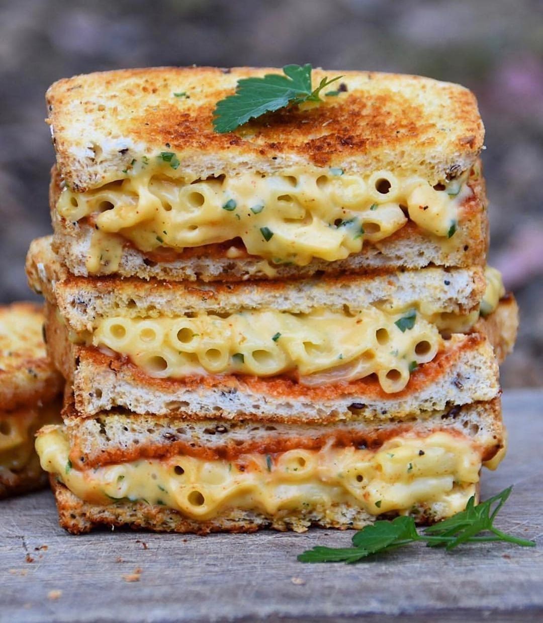 Vegan Mac and Cheese Sandwich