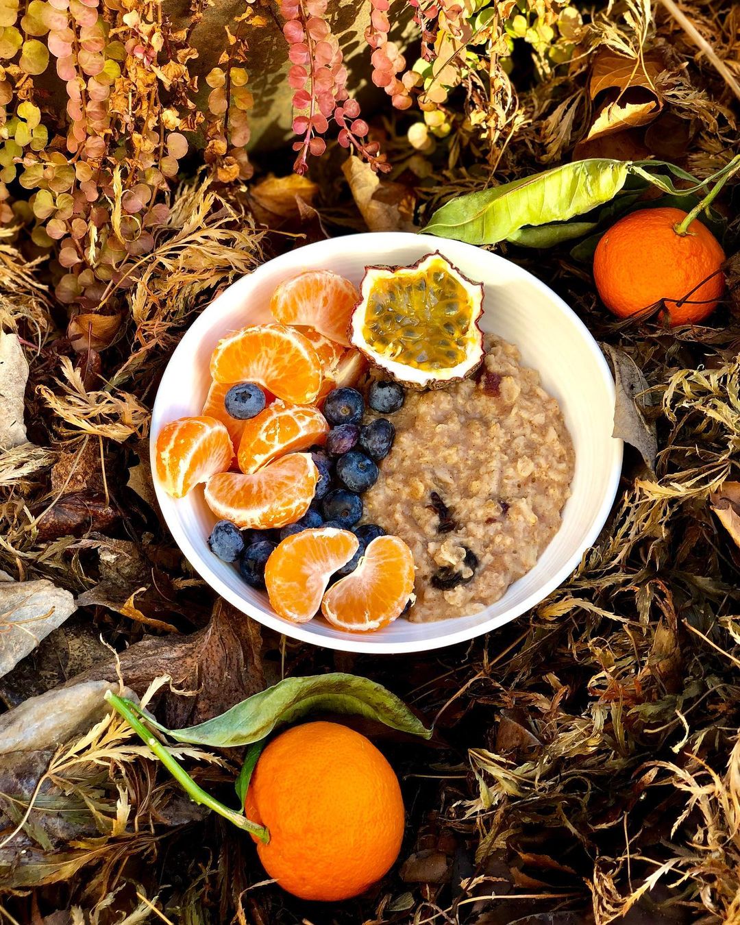 Cozy Oatmeal with Ginger and Dried Fruits