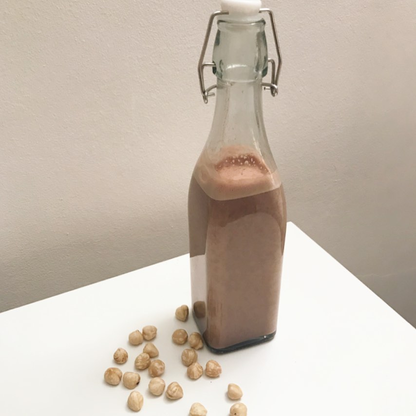Homemade Hazelnut Cacao Milk with Nutella Flavor