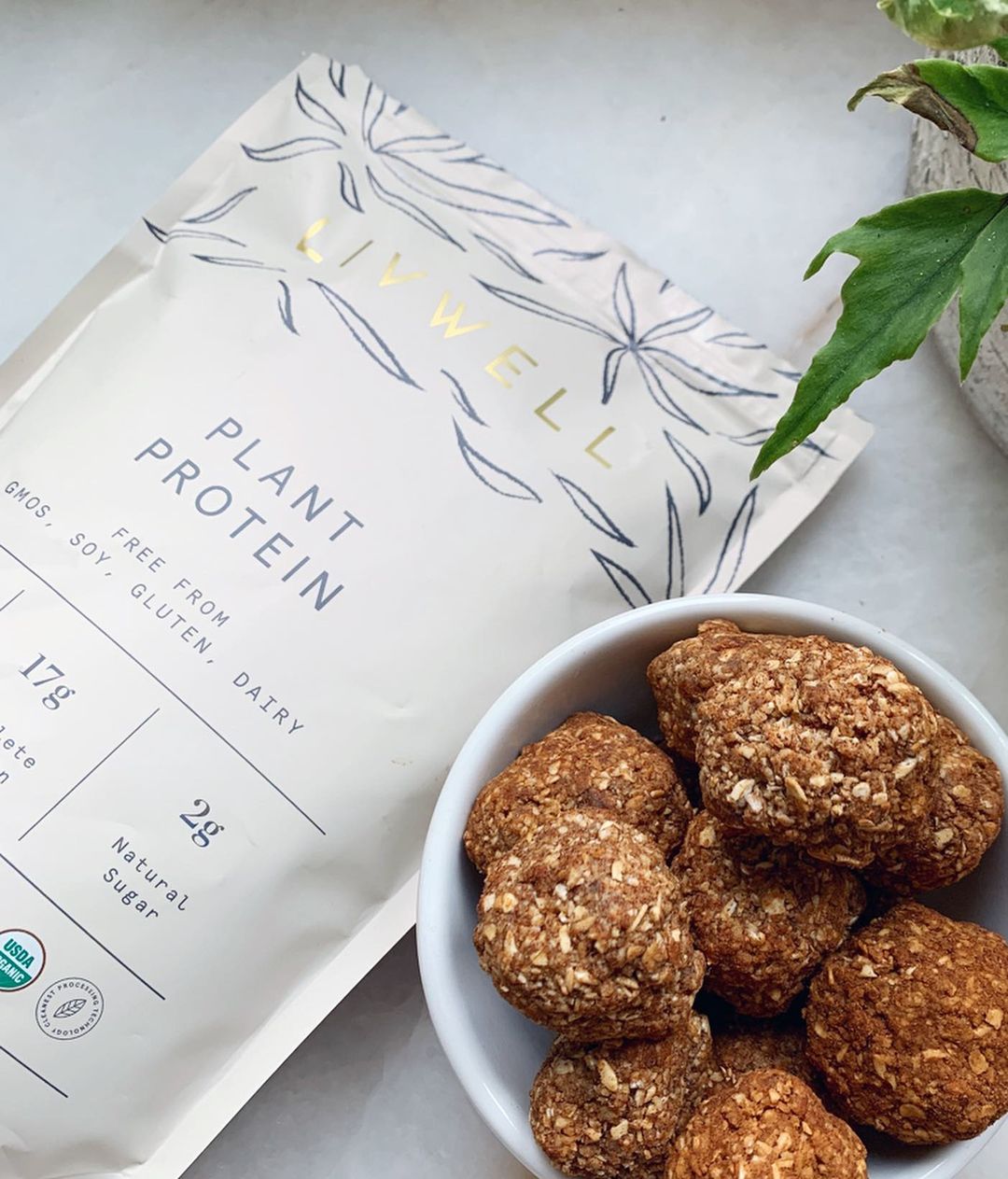 No-Bake Snickerdoodle Protein Bites