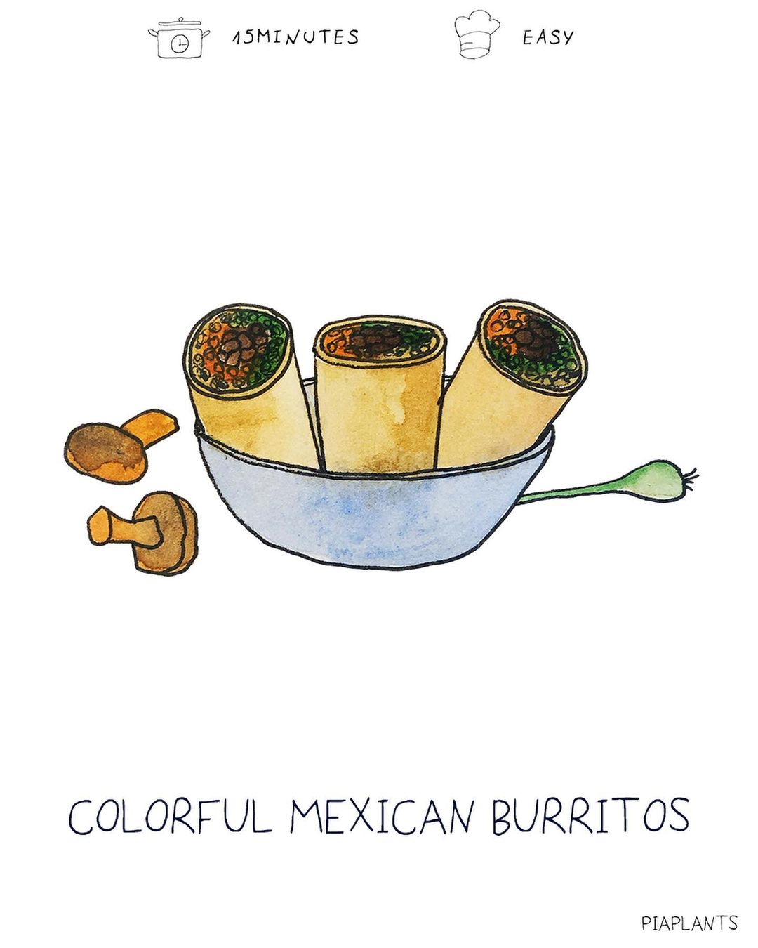 Colorful Mexican Burritos
