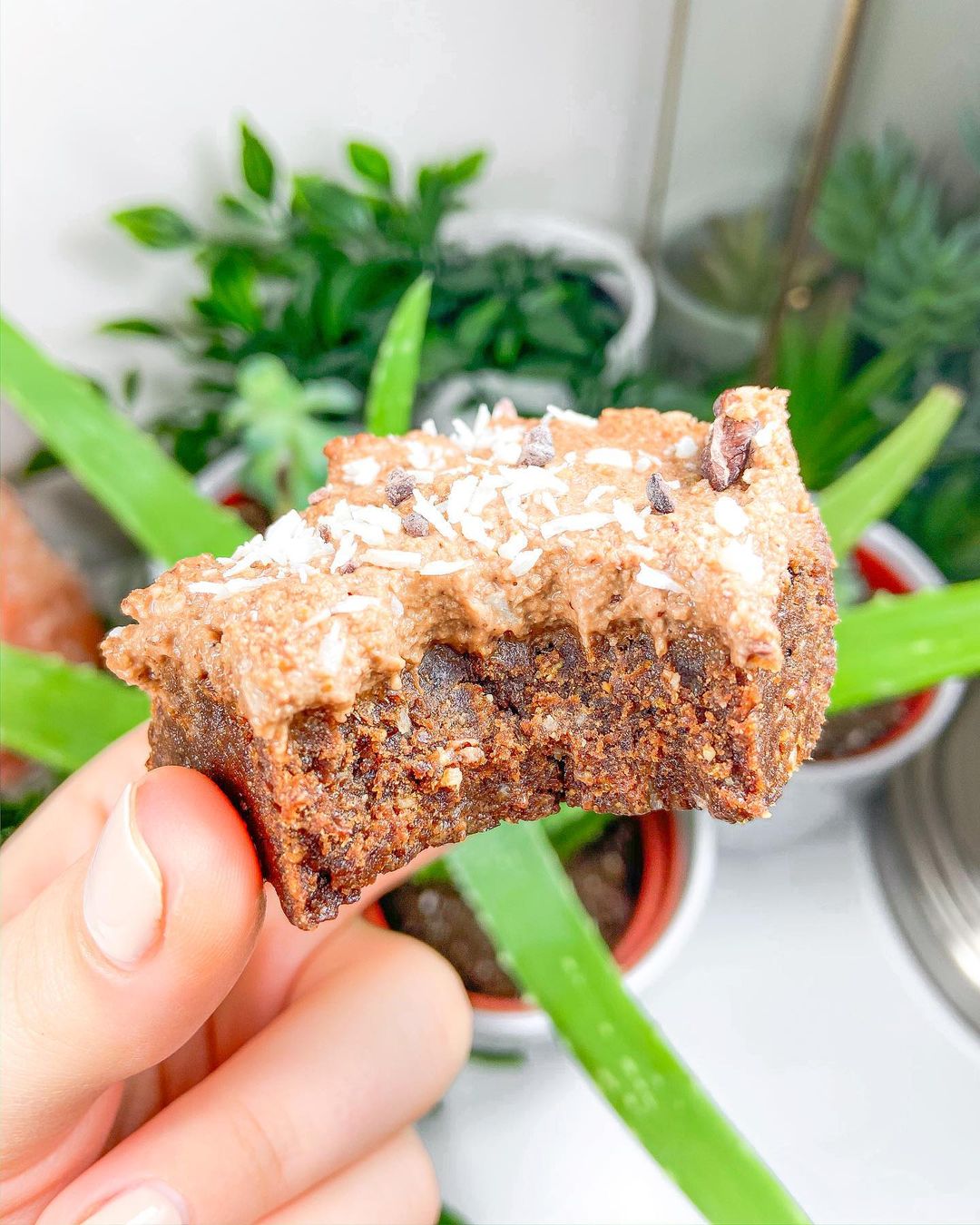 3 Ingredient Raw Vegan Brownies