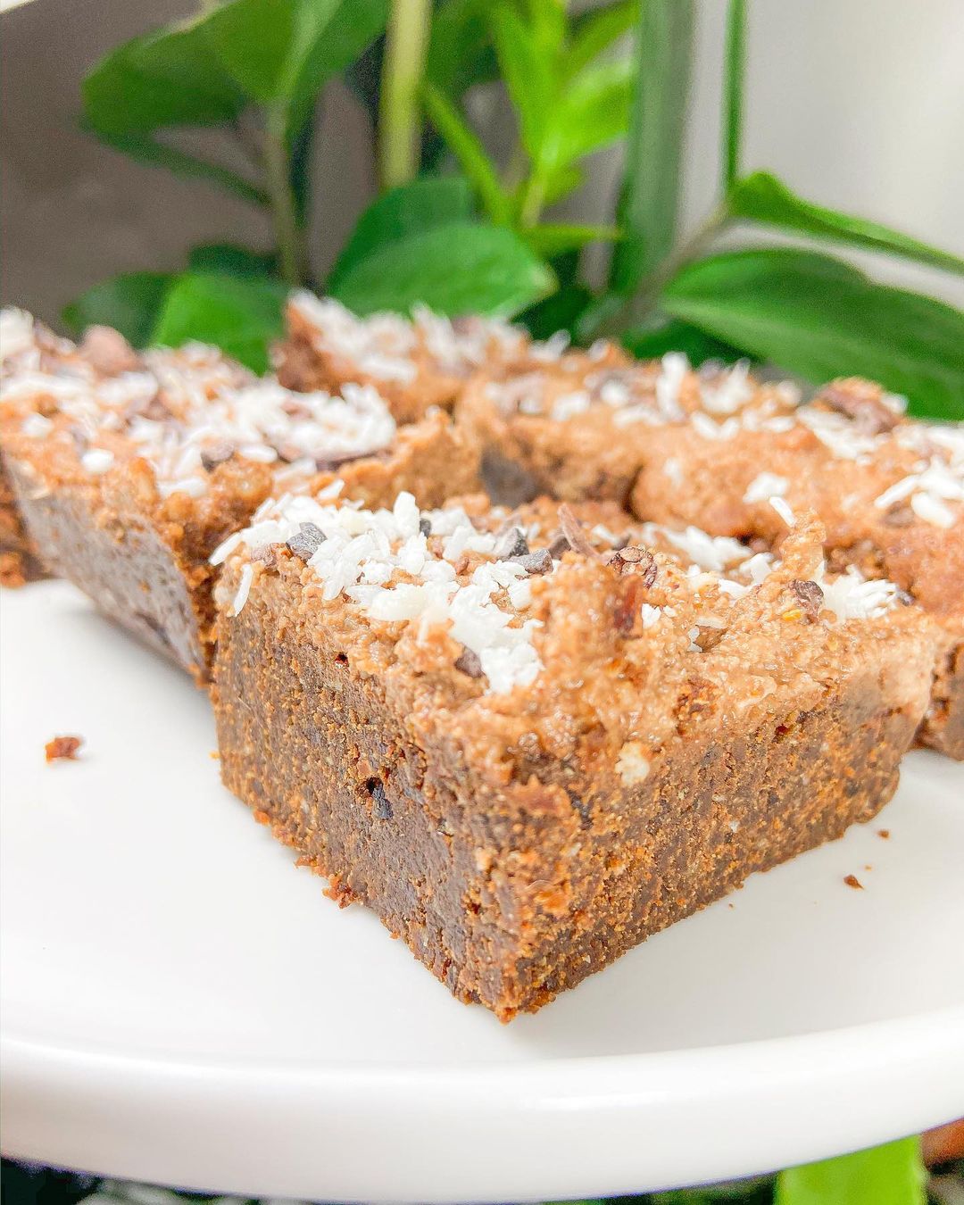 3 Ingredient Raw Vegan Brownies