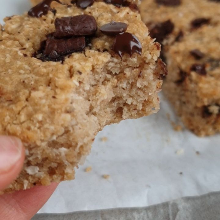 Coconut Chocolate Chip Blondies