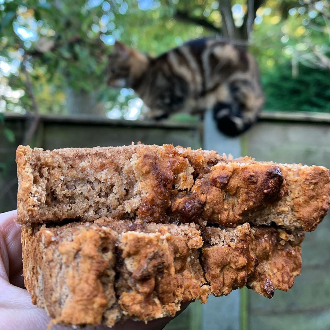 Healthier Pumpkin Banana Bread
