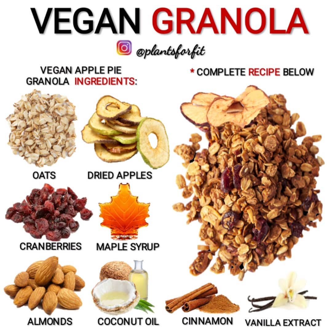 Vegan Apple Pie Inspired Granola Treat