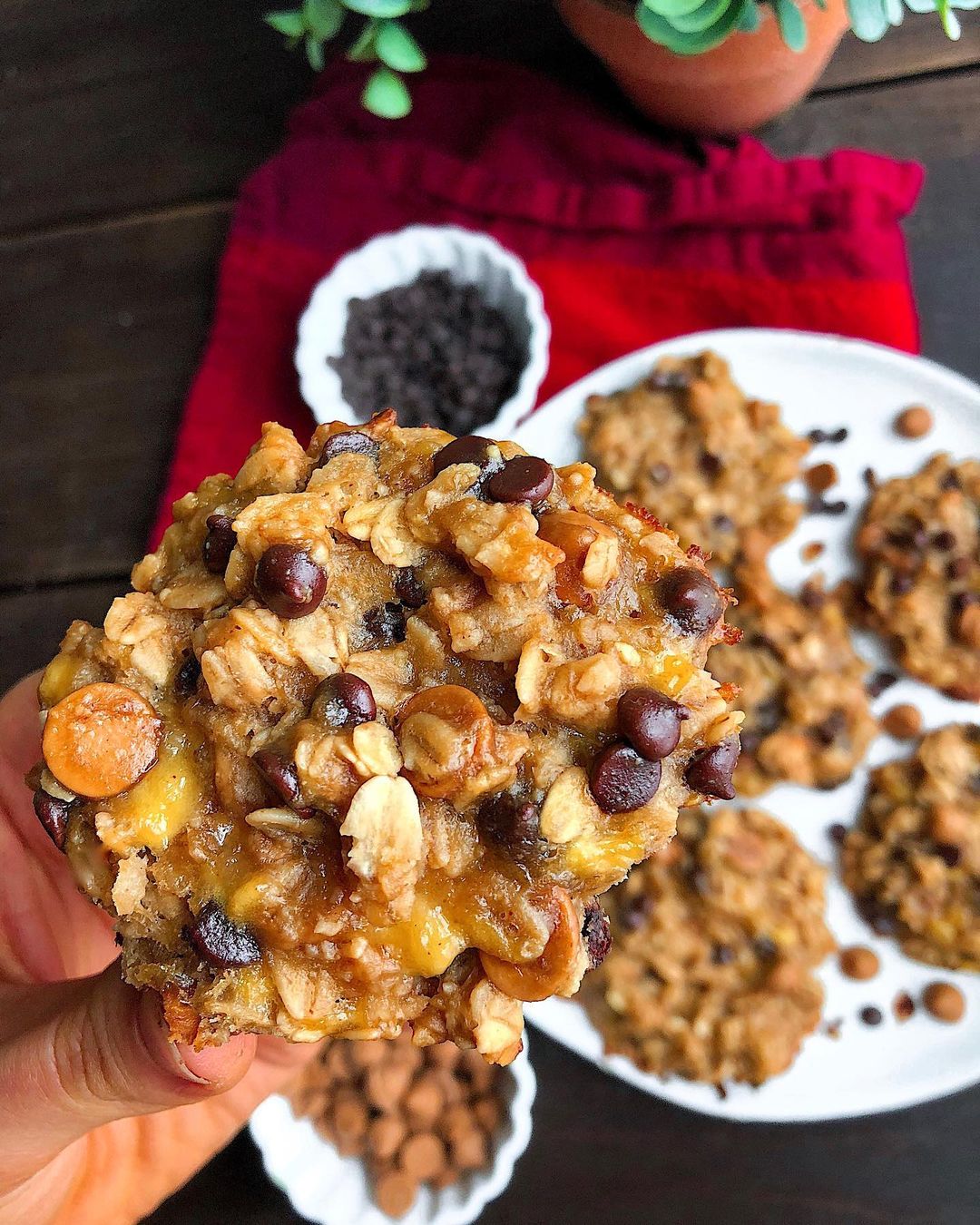 Peanut Butter Chocolate Breakfast Cookies