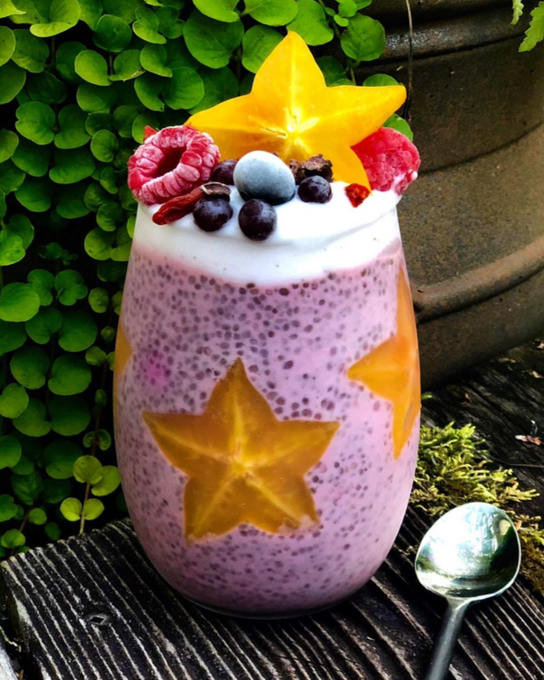 Chia Seed Pudding with Star Fruit Flavor