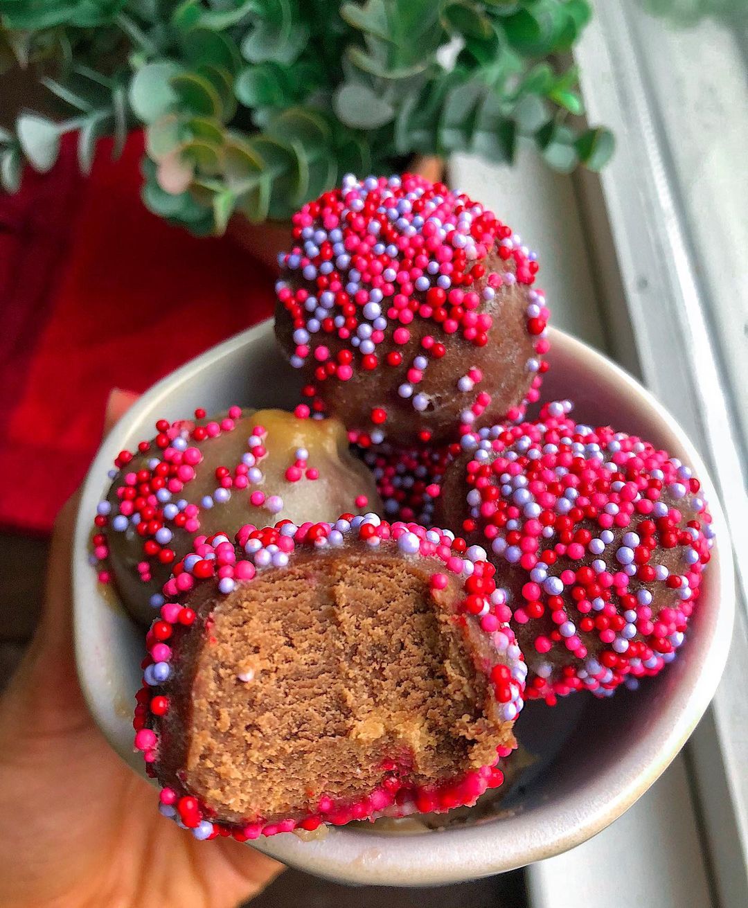 No Bake Chocolate Donut Holes