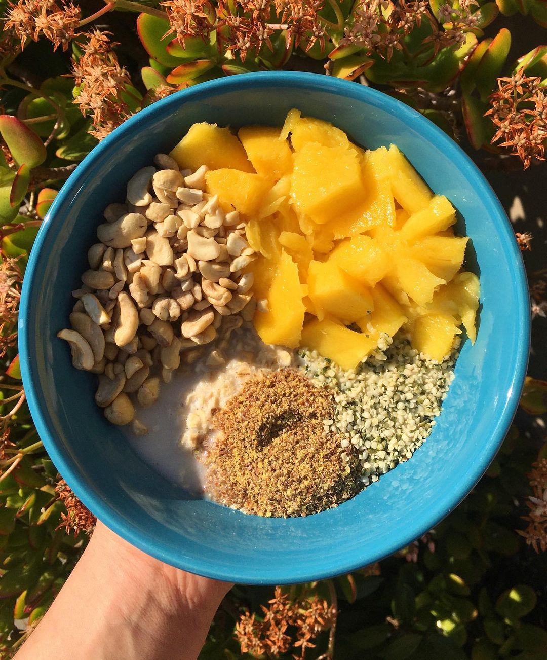 Mango Oats with Flax and Hemp Hearts