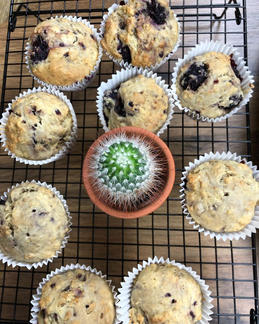Blackberries and Almond Cakes