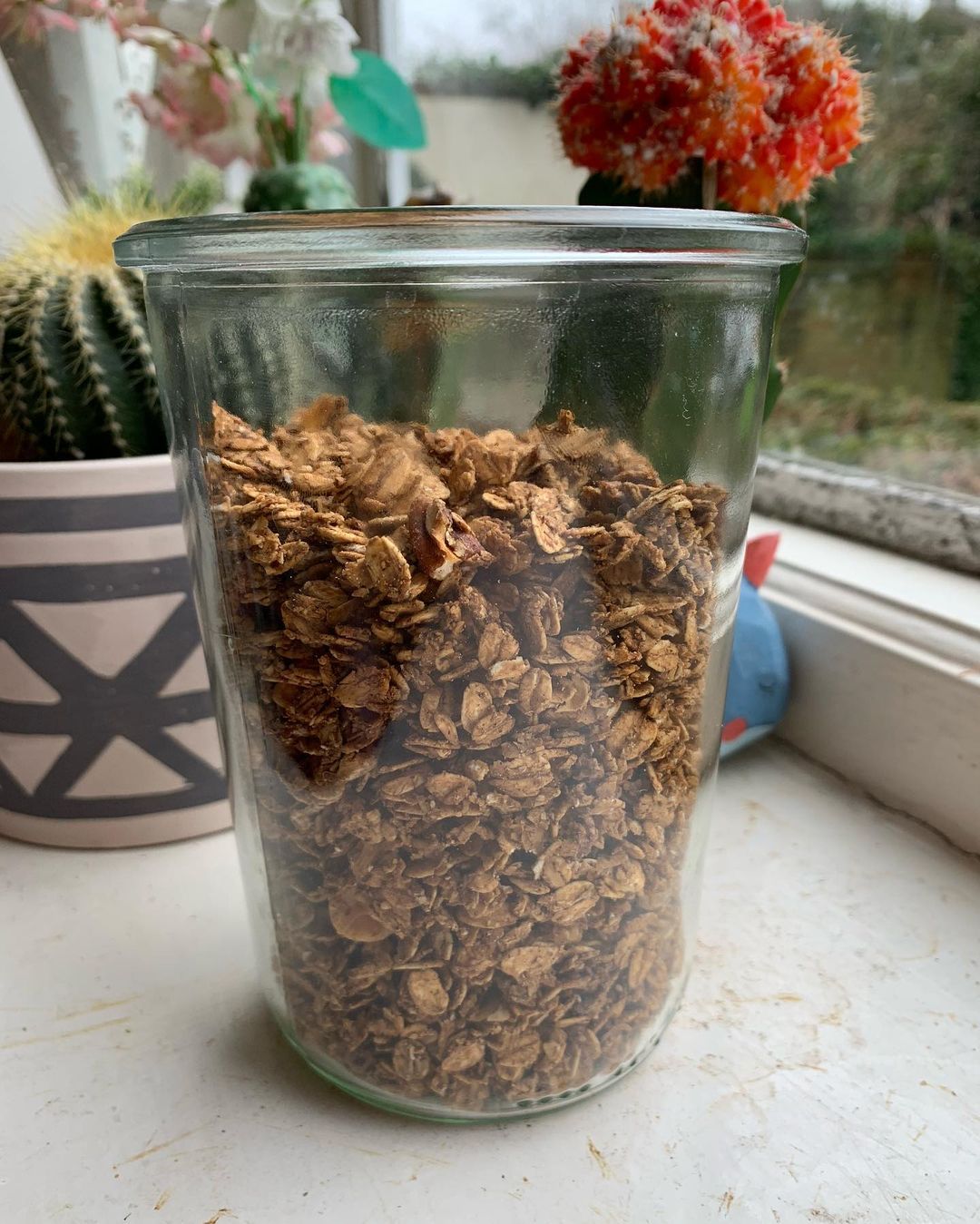 Vegan Coffee Granola Recipe