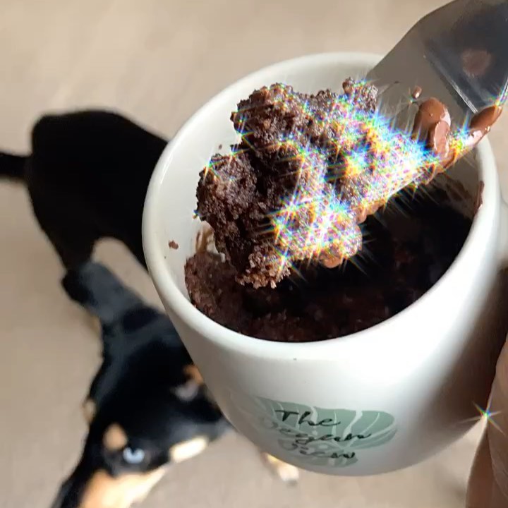 Vegan Chocolate Mug Cake