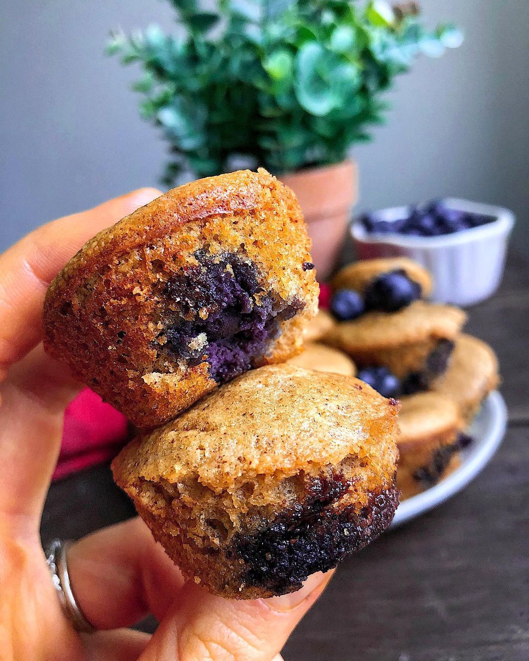 Mini Blueberry Muffins