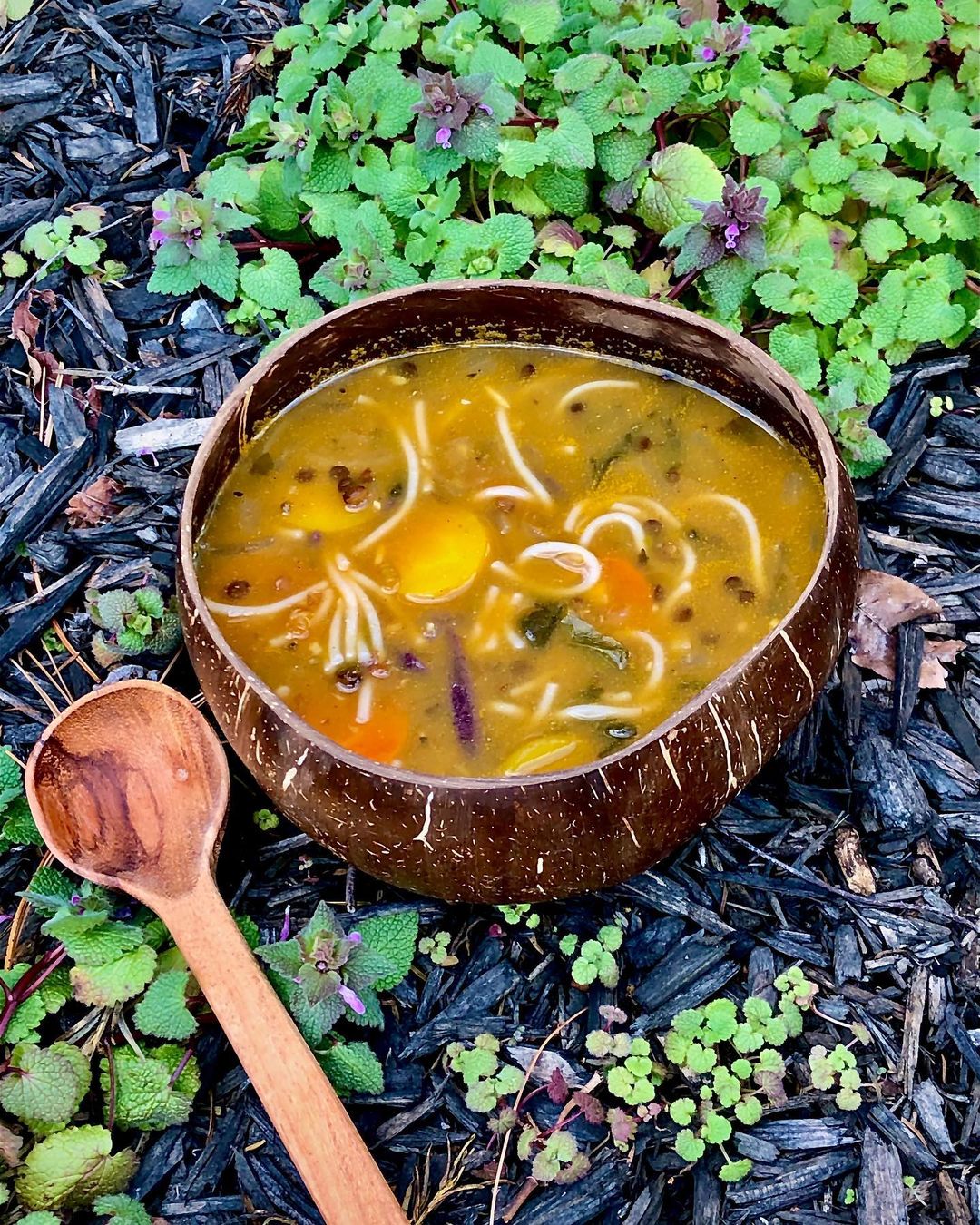 Cozy Vegan Lentil and Noodle Soup
